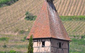 Gite du Vignoble